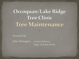 Occoquan/Lake Ridge Tree Clinic Tree Maintenance