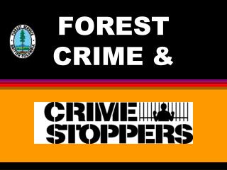 FOREST CRIME &amp;