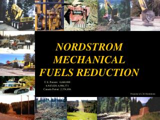 NORDSTROM MECHANICAL FUELS REDUCTION