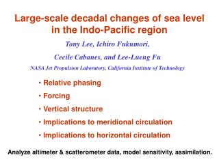 Large-scale decadal changes of sea level in the Indo-Pacific region