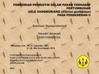 Seminar Komprehensif Hendri Ahmadi 230110080122