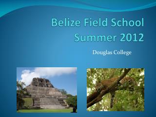 Belize Field School Summer 2012