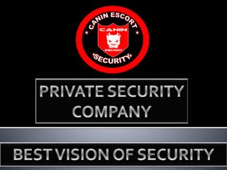BEST VISION OF SECURITY