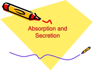 Absorption and Secretion