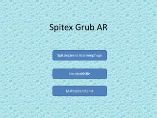 Spitex Grub AR