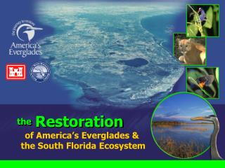 of America’s Everglades &amp; the South Florida Ecosystem