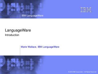 LanguageWare Introduction