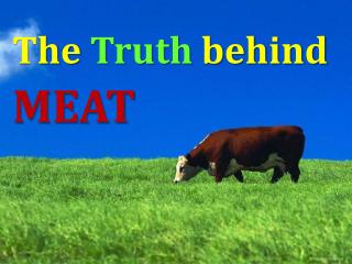 The Truth behind MEAT