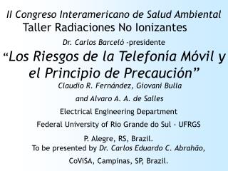 Claudio R. Fernández, Giovani Bulla and Alvaro A. A. de Salles Electrical Engineering Department