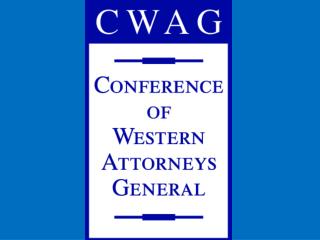 Update on State Compacting Authority Litigation CWAG August 2009