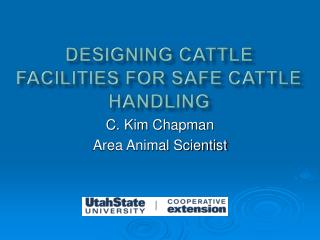Designing Cattle Facilities for Safe Cattle Handling