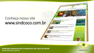 Conheça nosso site sindcoco.br