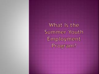 What Is the Summer Youth Employment Program?