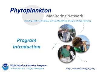 P hytoplankton