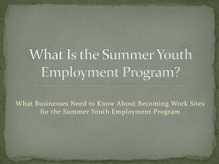 What Is the Summer Youth Employment Program?