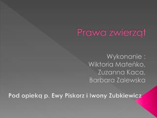 Prawa zwierząt