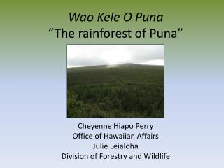 Wao Kele O Puna “The rainforest of Puna”