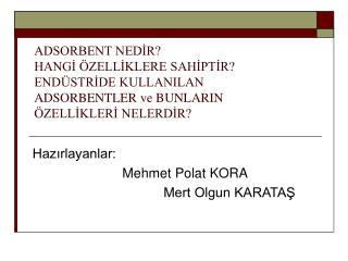Hazırlayanlar: Mehmet Polat KORA