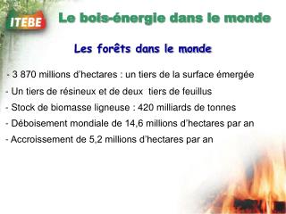 Le bois-énergie dans le monde