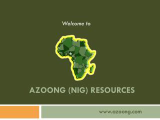 AZOONG (NIG) RESOURCES