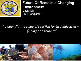 “to quantify the value of reef fish for two industries – fishing and tourism”