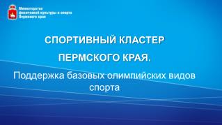 СПОРТИВНЫЙ КЛАСТЕР ПЕРМСКОГО КРАЯ. Поддержка базовых олимпийских видов спорта