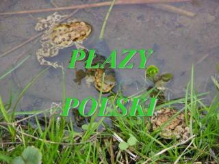 PŁAZY POLSKI