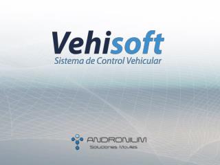 Control Vehicular, verifica :