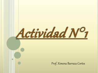 Actividad N°1