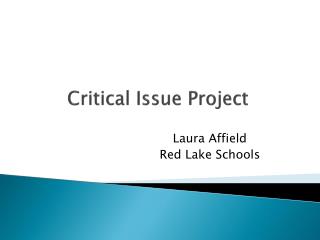 Critical Issue Project