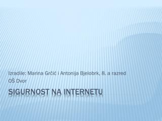 Sigurnost na internetu