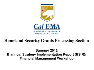 Summer 2012 Biannual Strategy Implementation Report (BSIR)/