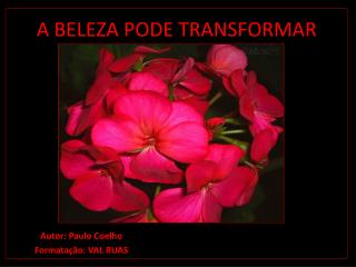 A BELEZA PODE TRANSFORMAR