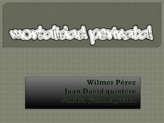 Wilmer Pérez Juan David quintero Sandra yanchaguano