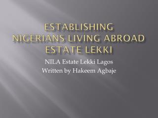 Establishing Nigerians Living Abroad Estate Lekki