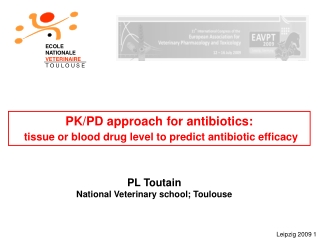 PK/PD approach for antibiotics: tissue or blood drug level to predict antibiotic efficacy