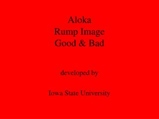 Aloka Rump Image Good &amp; Bad