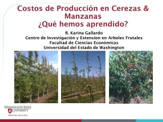 Costos de Producción en Cerezas &amp; Manzanas ¿Qué hemos aprendido?