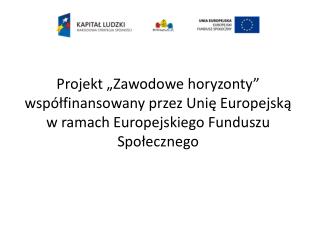 Cele projektu „Zawodowe horyzonty” realizowane w Zespole Szkół Ekonomiczno – Administracyjnych