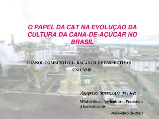 ÂNGELO BRESSAN FILHO