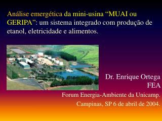 Dr. Enrique Ortega FEA Forum Energia-Ambiente da Unicamp. Campinas, SP 6 de abril de 2004.