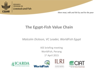 The Egypt-Fish Value Chain