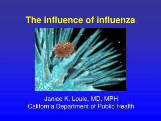 The influence of influenza