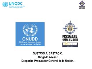 GUSTAVO A. CASTRO C. Abogado Asesor. Despacho Procurador General de la Nación.