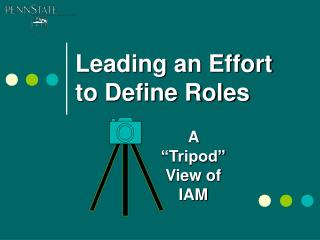 Leading an Effort to Define Roles