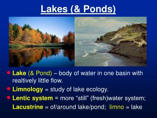 Lakes (&amp; Ponds)