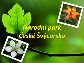 Národní park České Švýcarsko