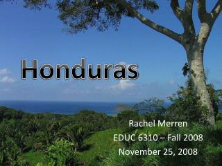 Rachel Merren EDUC 6310 – Fall 2008 November 25, 2008