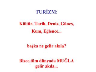 . MUĞLA İli toplamında 7161 TAPDK belgeli Açık Alkol ve Tütün ürünleri satıcısı mevcuttur.