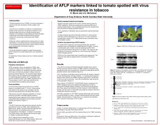 Identification of AFLP markers linked to tomato spotted wilt virus resistance in tobacco